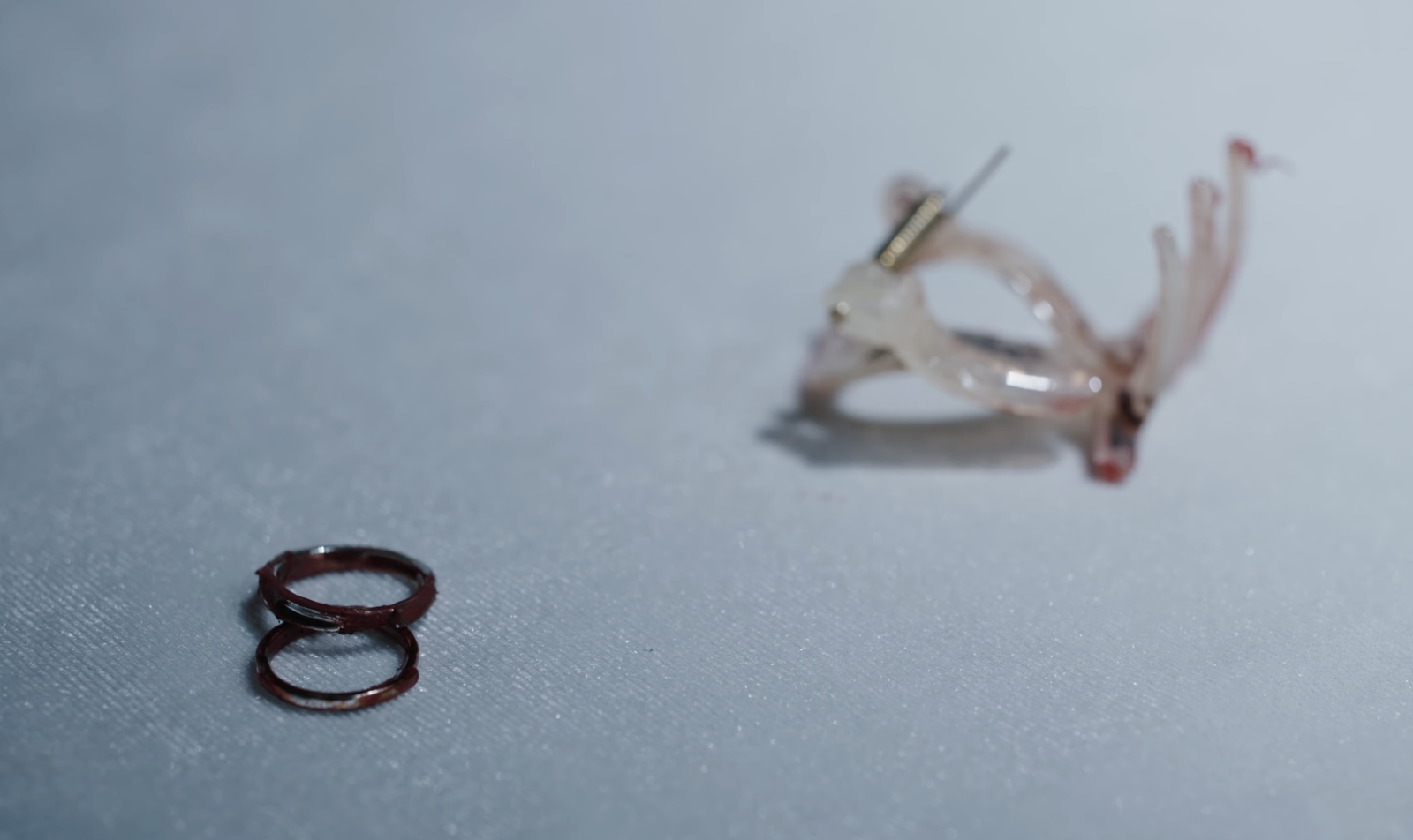 Happily Ever After